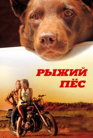  Рыжий пес  (2011) смотреть онлайн в HD 1080 720